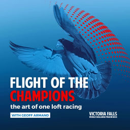 Podcast thumbnail for Flight of the Champions