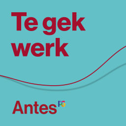 Podcast thumbnail for Te gek werk (Antes podcast)