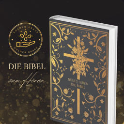 Podcast thumbnail for Golden Grace Bibel