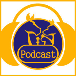 Podcast thumbnail for Vet Talk the Veterinary Podcast