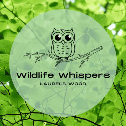 Podcast thumbnail for Wildlife Whispers