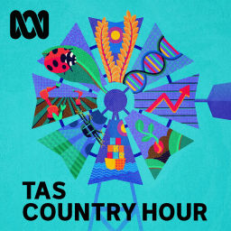 Podcast thumbnail for Tasmanian Country Hour