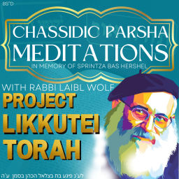 Podcast thumbnail for Chassidic Parsha Meditations