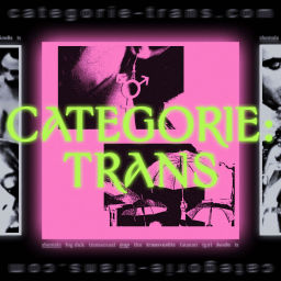 Podcast thumbnail for Catégorie: Trans