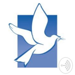 Podcast thumbnail for Peace Mankato Sermons
