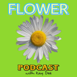 Podcast thumbnail for FLOWER podcast