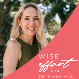 Podcast thumbnail for Wise Effort