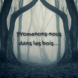 Podcast thumbnail for Promenons-nous dans les bois