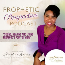 Podcast thumbnail for Prophetic Perspective Podcast with Apostle of Grace ~ Christine Norris