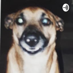 Podcast thumbnail for DigitadorPaulista