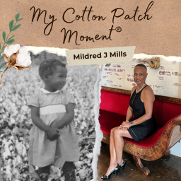 Podcast thumbnail for My Cotton Patch Moment