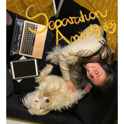 Podcast thumbnail for Positive Dog Training and Behaviour
