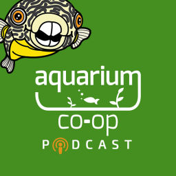 Podcast thumbnail for Aquarium Co-Op Podcast