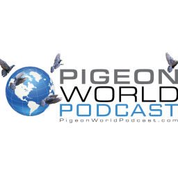 Podcast thumbnail for Pigeon World