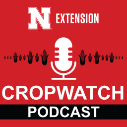 Podcast thumbnail for Nebraska CropWatch