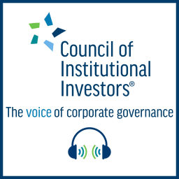 Podcast thumbnail for The Voice of Corporate Governance