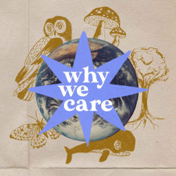 Podcast thumbnail for Why We Care