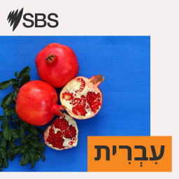 Podcast thumbnail for SBS Hebrew