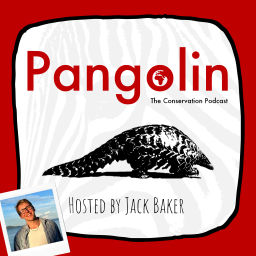 Podcast thumbnail for Pangolin: The Conservation Podcast