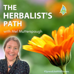 Podcast thumbnail for The Herbalist's Path
