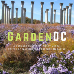 Podcast thumbnail for GardenDC: The Podcast about Mid-Atlantic Gardening