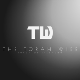 Podcast thumbnail for Understanding Parenting by Torah Wire