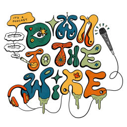 Podcast thumbnail for Down to the Wire