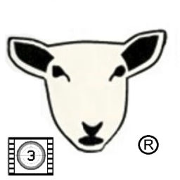 Podcast thumbnail for White Sheep Media's Movie Reviews