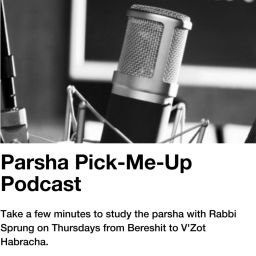 Podcast thumbnail for Parsha Pick-Me-Up