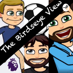 Podcast thumbnail for The Birdseye View