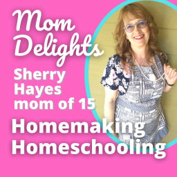 Podcast thumbnail for Mom Delights Homemaking and Homeschooling