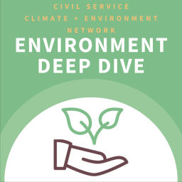 Podcast thumbnail for Environment Deep Dive