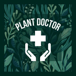 Podcast thumbnail for Plant Doctor with Mike Meier