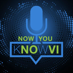Podcast thumbnail for Now You Novi