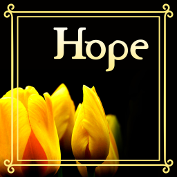 Podcast thumbnail for Hope Reformed Presbyterian Sermons