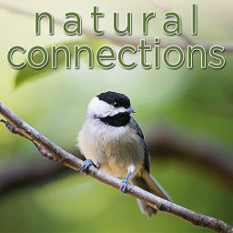 Podcast thumbnail for Natural Connections