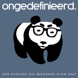 Podcast thumbnail for ONGEDEFINIEERD