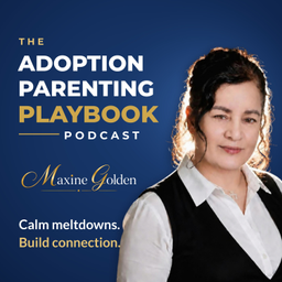 Podcast thumbnail for The Adoption Parenting Playbook Podcast