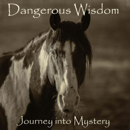Podcast thumbnail for Dangerous Wisdom