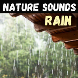 Podcast thumbnail for Nature Sounds - Rain