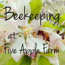 Podcast thumbnail for Beekeeping at Five Apple