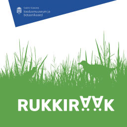 Podcast thumbnail for Rukkirääk