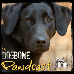 Podcast thumbnail for The DogBone Pawdcast