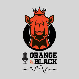 Podcast thumbnail for Orange and Black Podcast