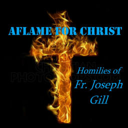 Podcast thumbnail for Aflame for Christ