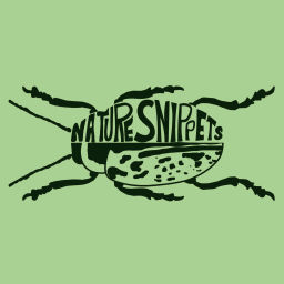 Podcast thumbnail for Nature Snippets