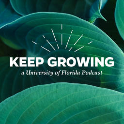 Podcast thumbnail for Keep Growing At UF