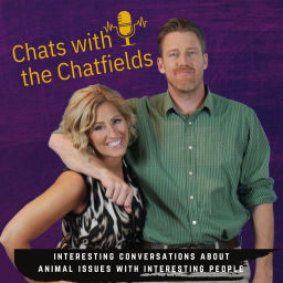 Podcast thumbnail for Chats with the Chatfields