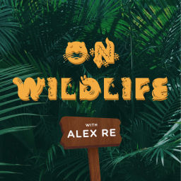 Podcast thumbnail for On Wildlife