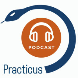 Podcast thumbnail for Practicus Podcast